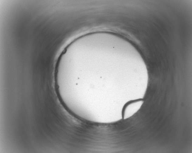 X0000063491512200602101819