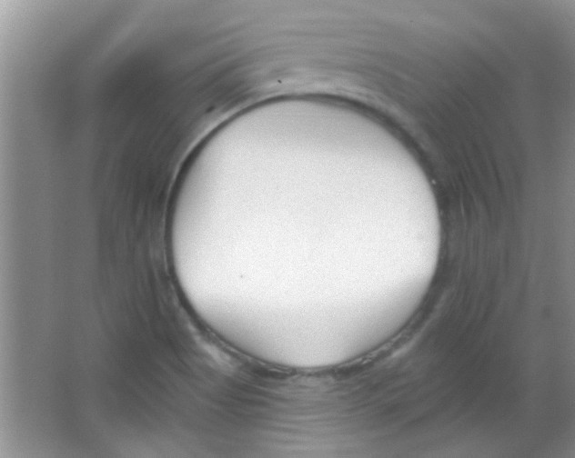 X0000063491513200602101819