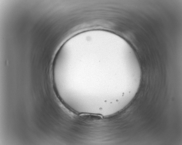 X0000063491516200602101820