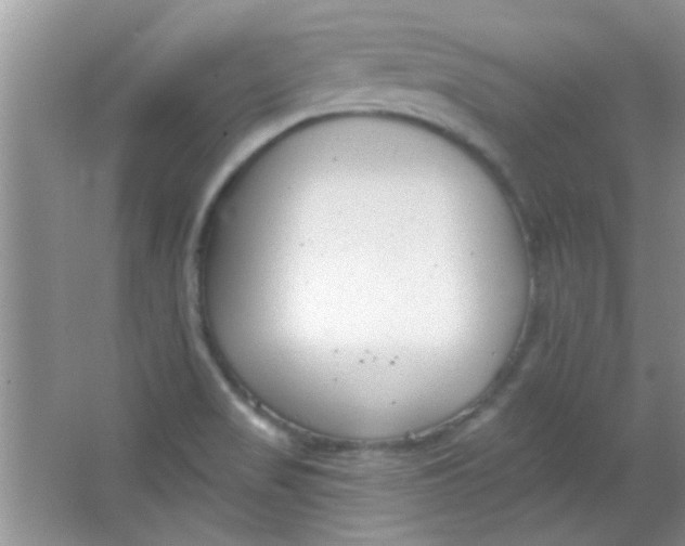 X0000063491517200602101820