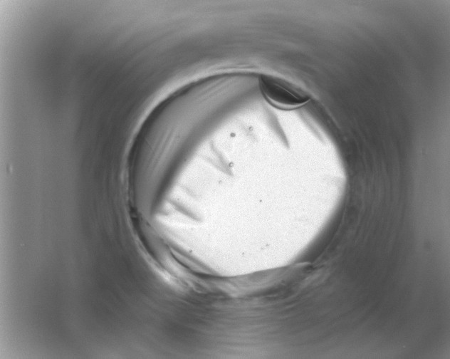 X0000063491519200602101820