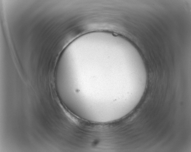 X0000063491521200602101820