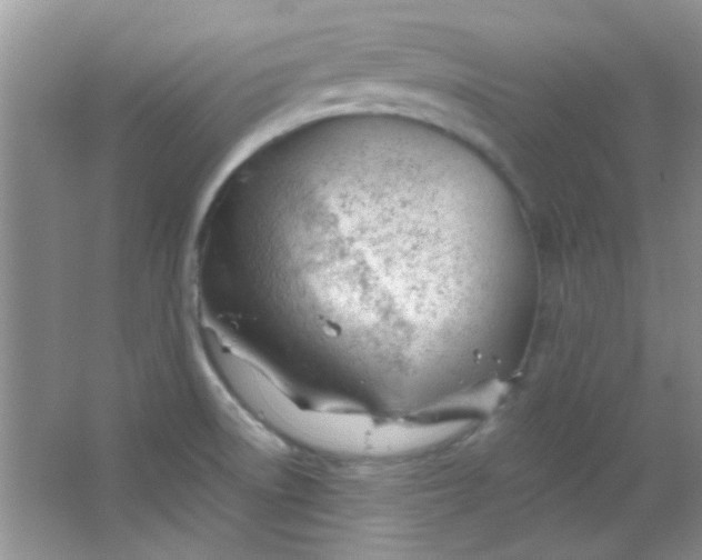 X0000063491522200602101820