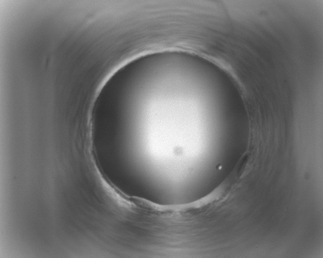 X0000063491524200602101820