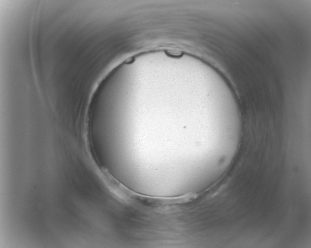 X0000063491525200602101820