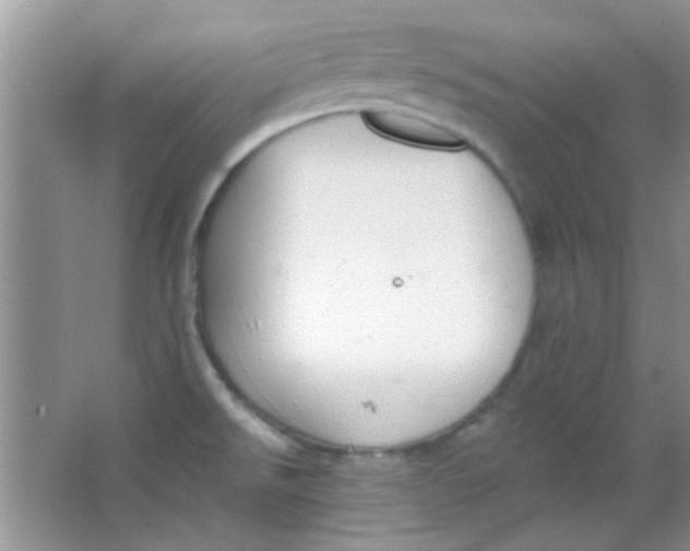 X0000063491526200602101820