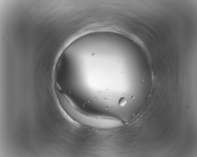 X0000063491528200602101820