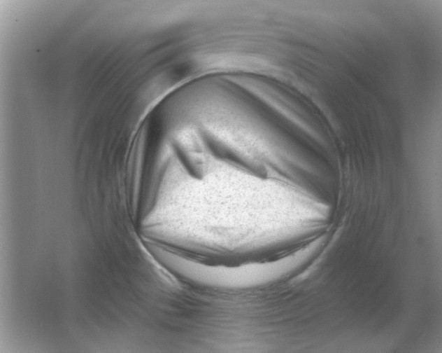 X0000063491529200602101820