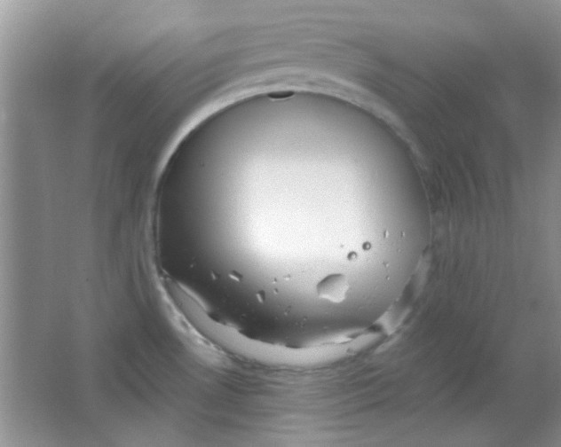 X0000063491530200602101820