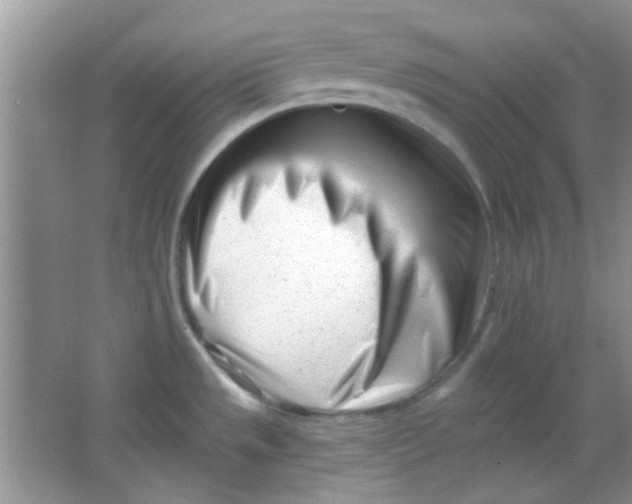 X0000063491533200602101820