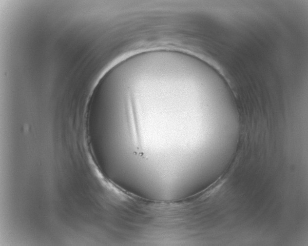 X0000063491534200602101820