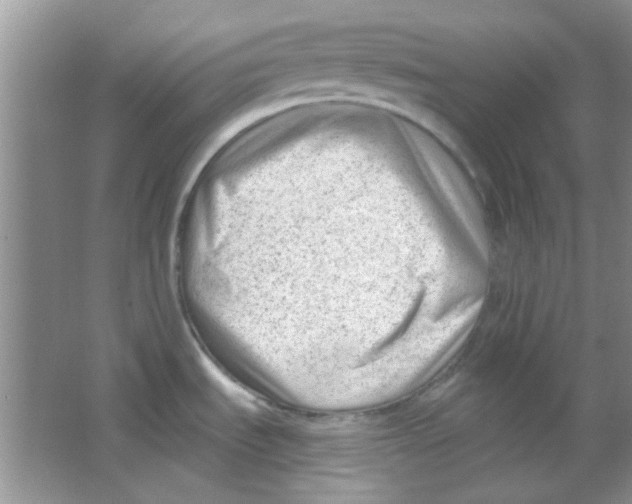 X0000063491535200602101820