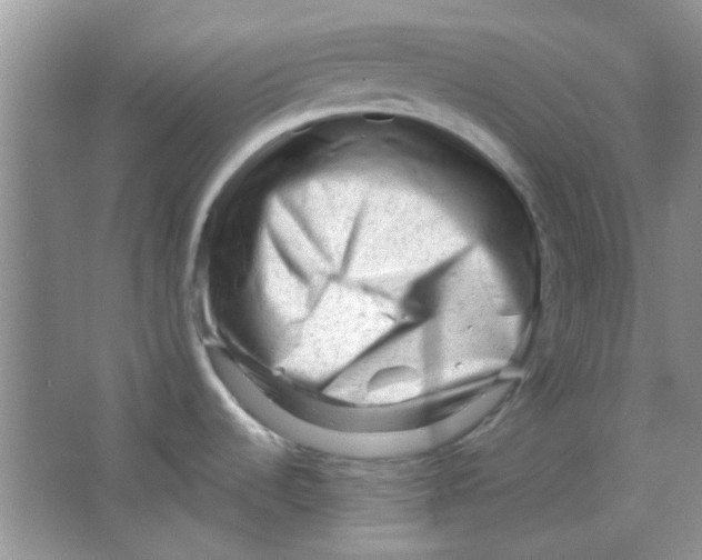 X0000063491536200602101820