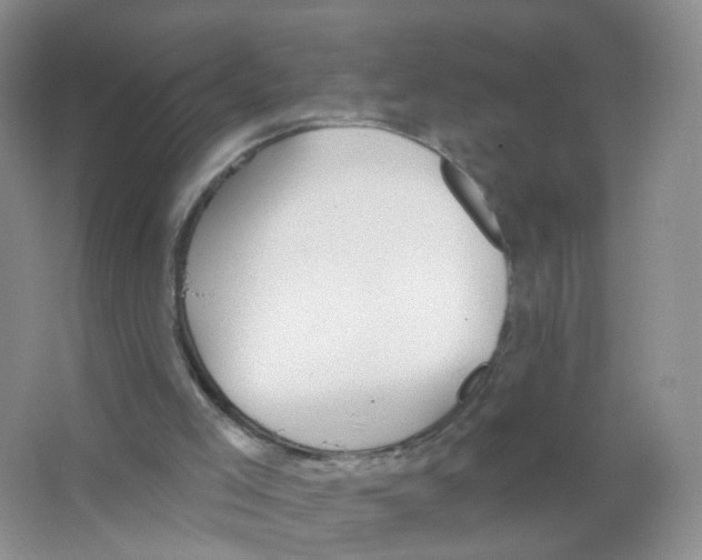 X0000063490005200602172104