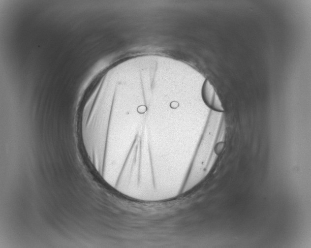 X0000063490006200602172104