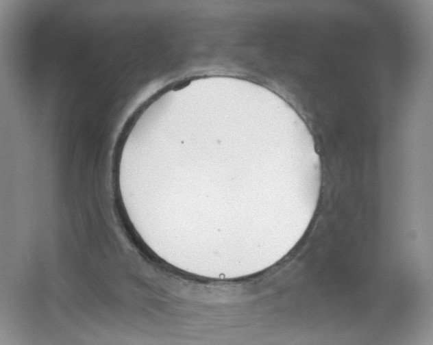 X0000063490008200602172104