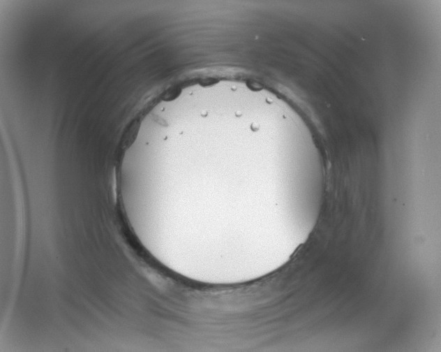 X0000063490013200602172104