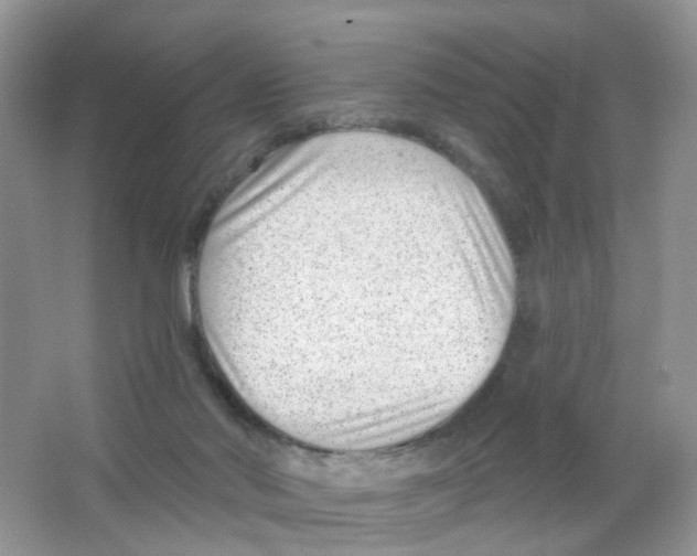 X0000063490022200602172104