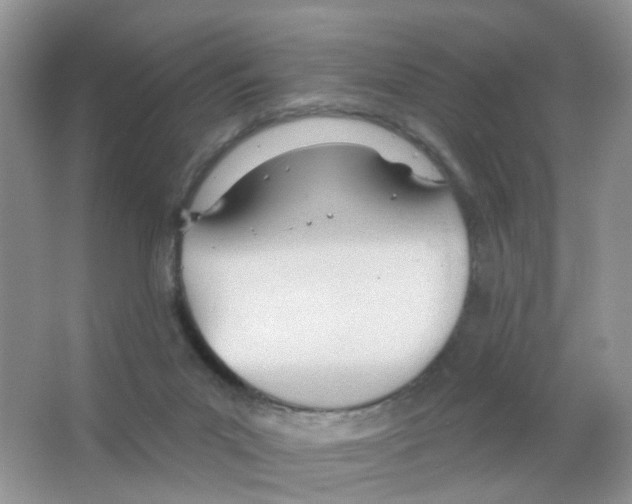 X0000063490023200602172104