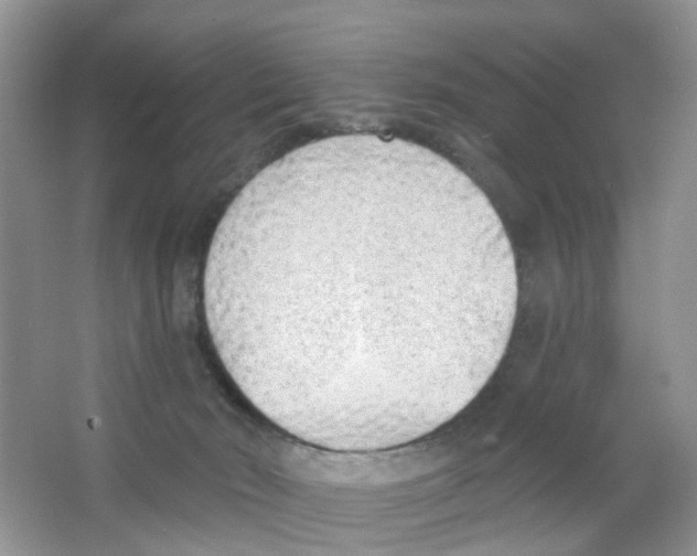 X0000063490030200602172104