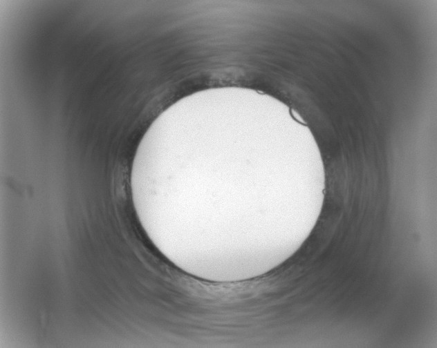 X0000063490038200602172103