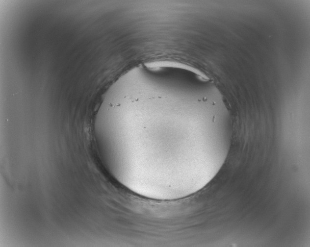 X0000063490039200602172103