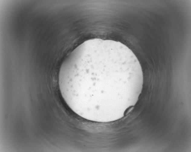 X0000063490040200602172103