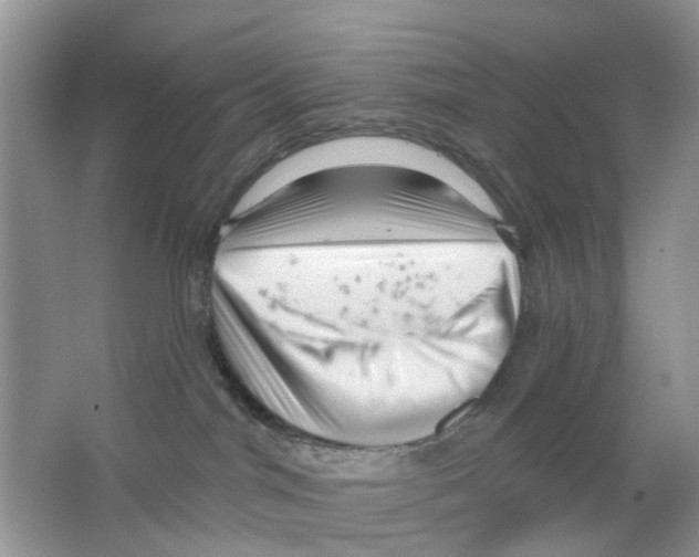 X0000063490044200602172103