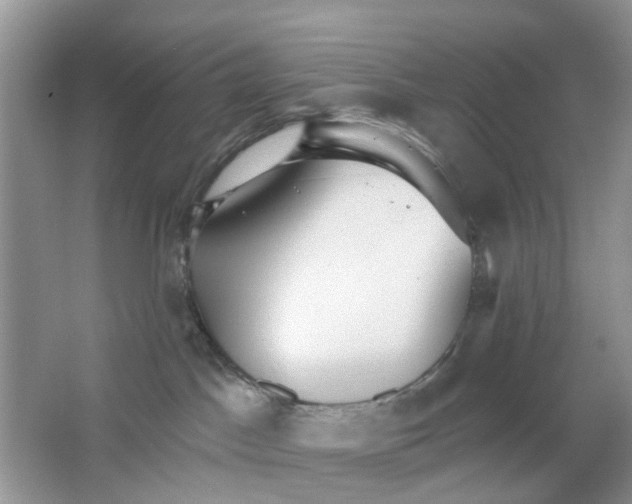 X0000063490045200602172103