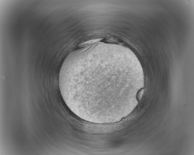 X0000063490048200602172103