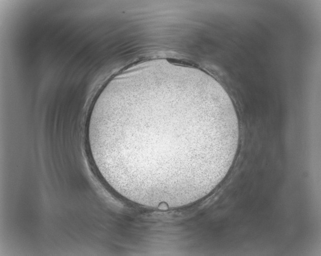 X0000063490049200602172102