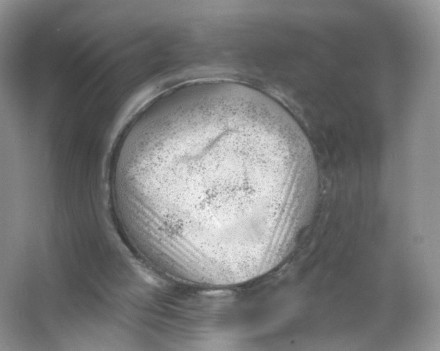 X0000063490053200602172102