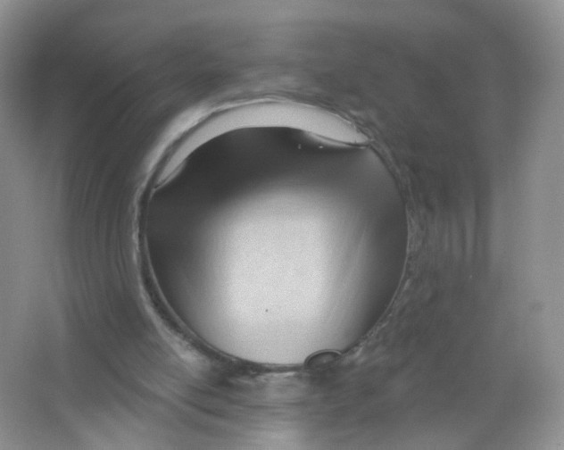 X0000063490054200602172102