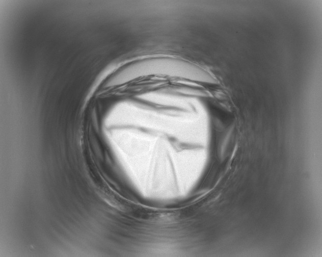 X0000063490056200602172103