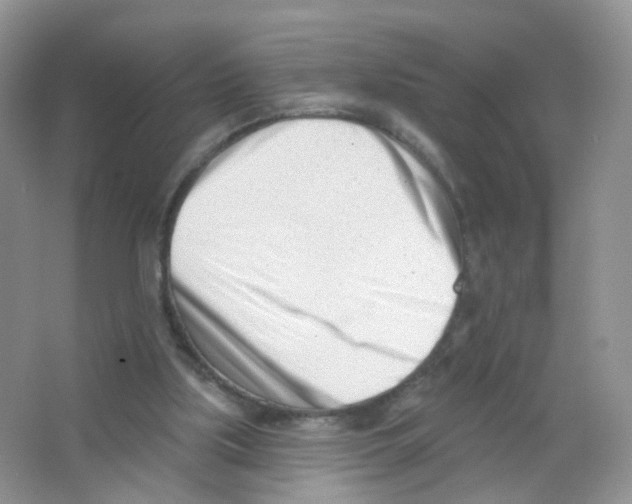 X0000063490059200602172103