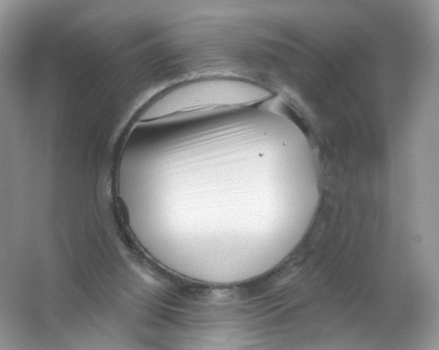 X0000063490060200602172103