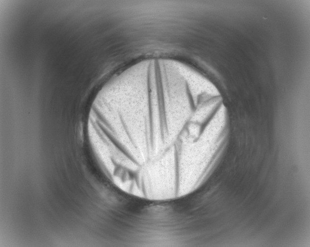 X0000063490067200602172103