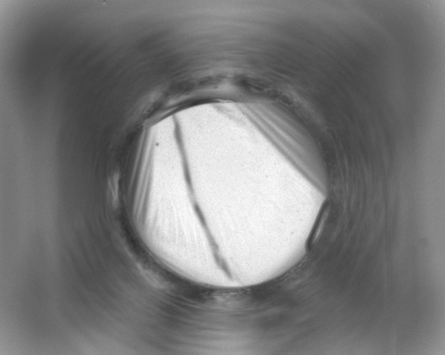 X0000063490070200602172103