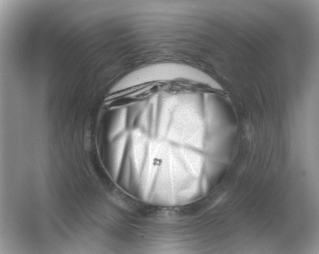 X0000063490080200602172103