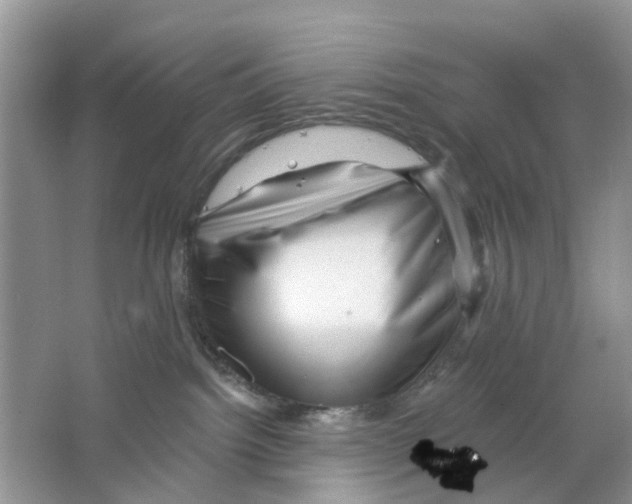 X0000063490092200602172103