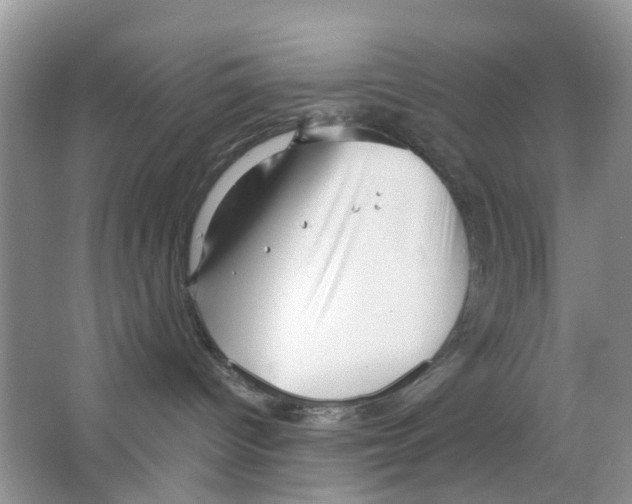 X0000063490096200602172103