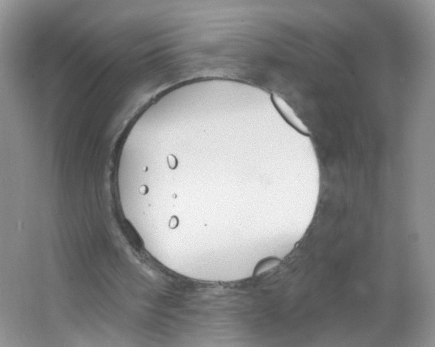 X0000063490098200602172102