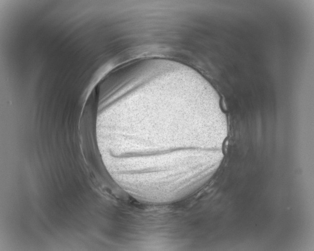 X0000063490099200602172102