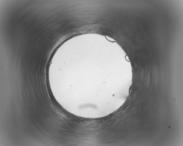 X0000063490100200602172102