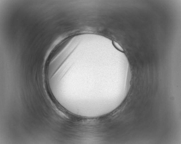 X0000063490102200602172102