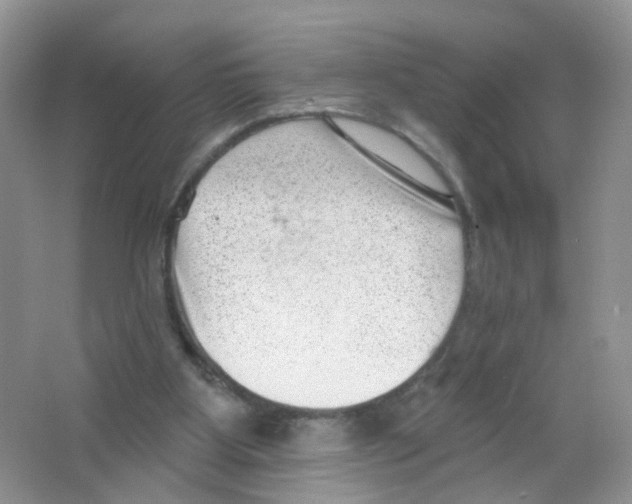 X0000063490107200602172102