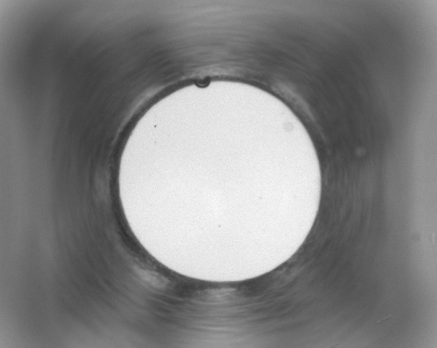 X0000063490108200602172102