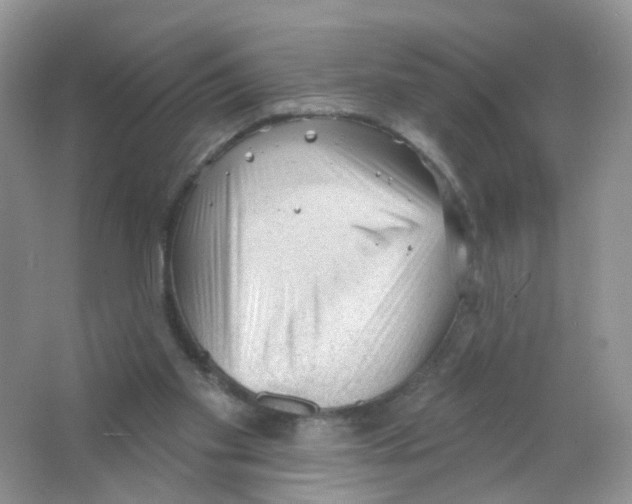 X0000063490109200602172102