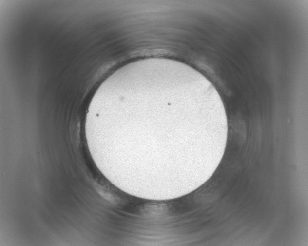 X0000063490110200602172102