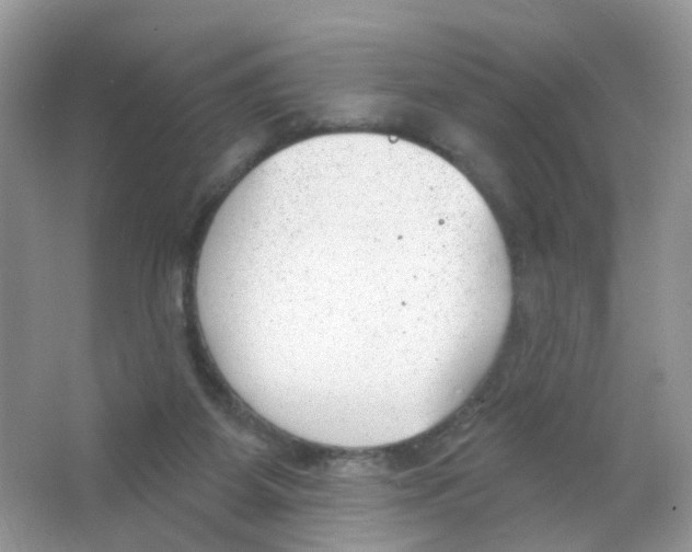 X0000063490115200602172102